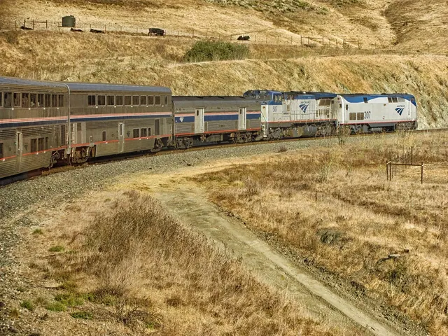 train, amtrak, passenger, landscape, scenic, transportation, railroad, railway, brown train, amtrak, amtrak, amtrak, amtrak, amtrak