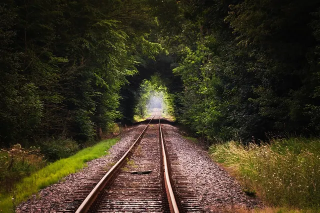 rails, tracks, railroad tracks, railway tracks, train tracks, railway system, empty, travel, away, perspective, trees, woods, nature, train tracks, train tracks, train tracks, trai