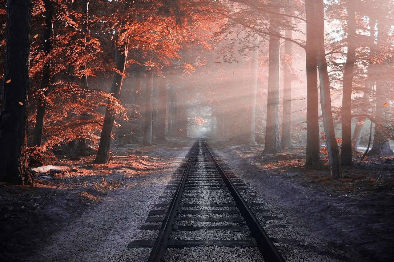 railway, forest, trees, rails, train tracks, autumn, colors, nature, railroad, haze, mist, sunrays, nature wallpaper, zoom background. Seasonal rail travel: daylight, foliage and trip planning