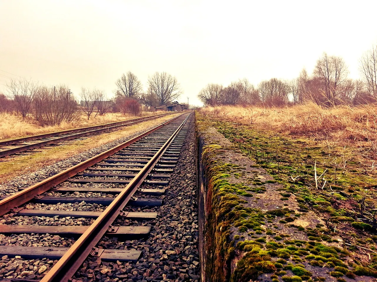 rail, railroad, countryside, railway, rail track, railway track, rural, rail, railroad, railroad, railway, railway, railway, railway, railway, railway track