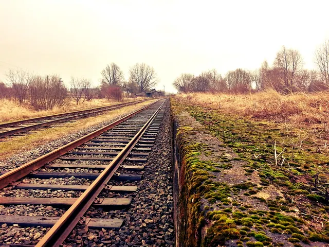 rail, railroad, countryside, railway, rail track, railway track, rural, rail, railroad, railroad, railway, railway, railway, railway, railway, railway track